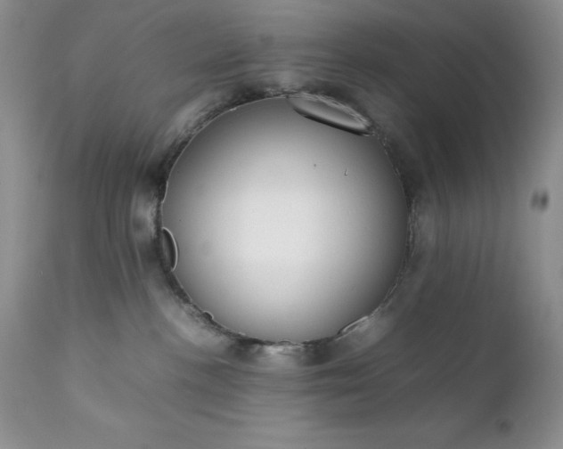 X0000111780188200907301130