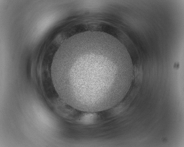 X0000111780189200907301130