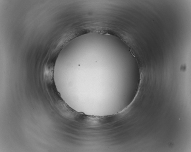 X0000111780190200907301130