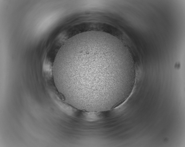 X0000111780191200907301131