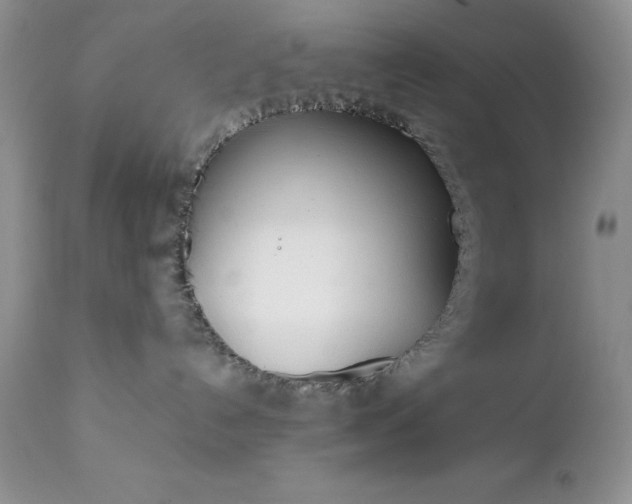 X0000111780192200907301131