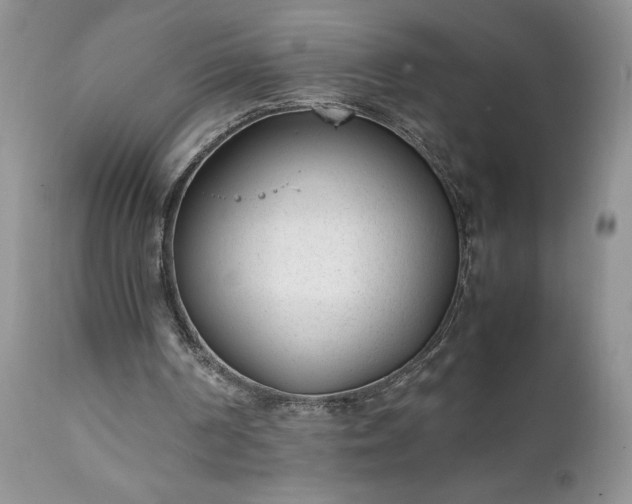 X0000111780194200907301130