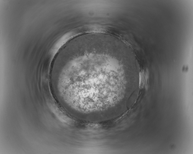 X0000111780195200907301130