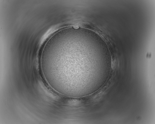 X0000111780198200907301130