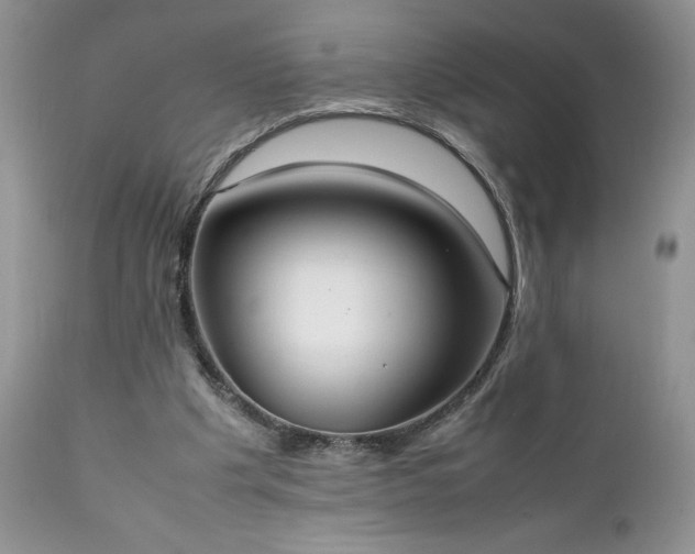 X0000111780201200907301130