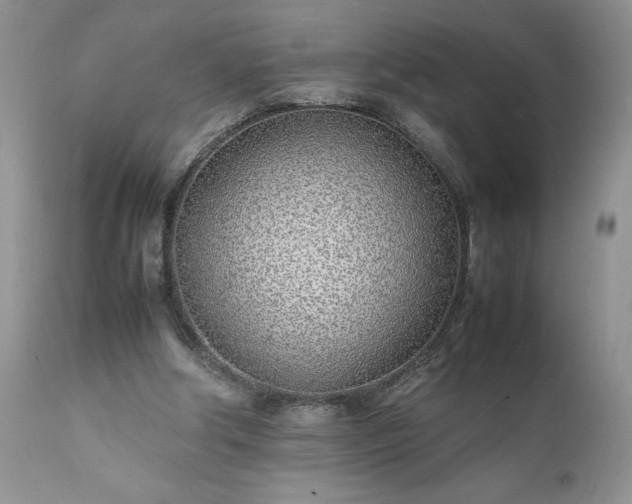 X0000111780202200907301130
