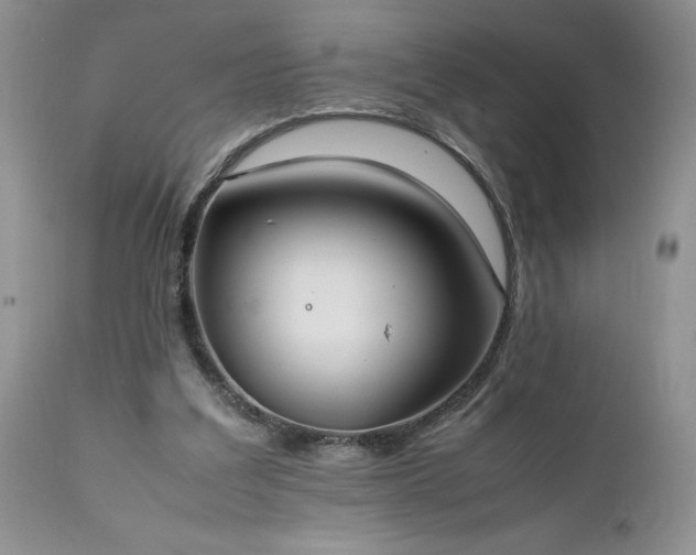 X0000111780203200907301130