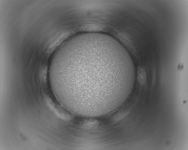 X0000111780206200907301130