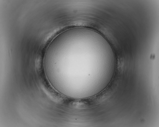 X0000111780208200907301129