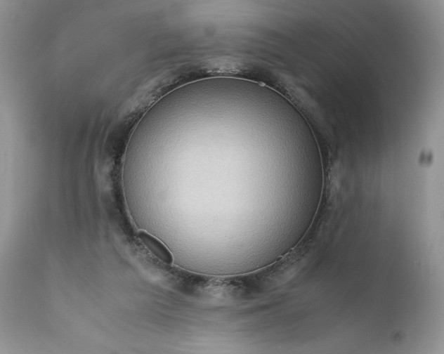 X0000111780209200907301129