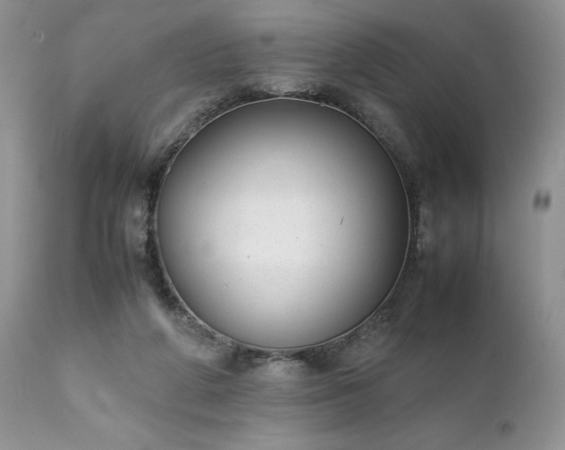 X0000111780210200907301129