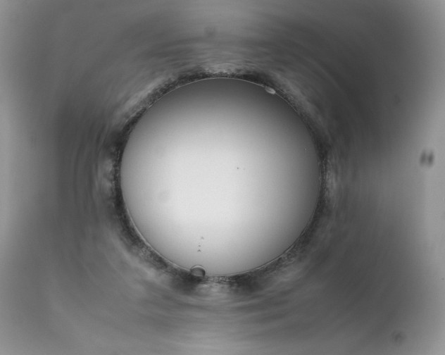 X0000111780211200907301129