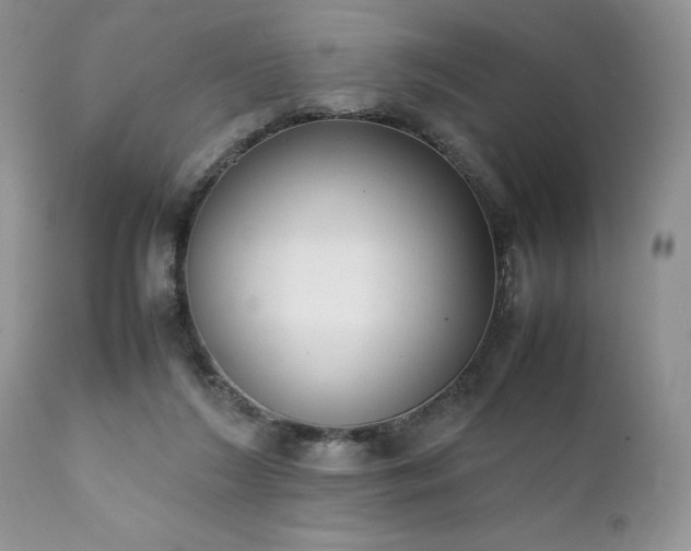 X0000111780212200907301129