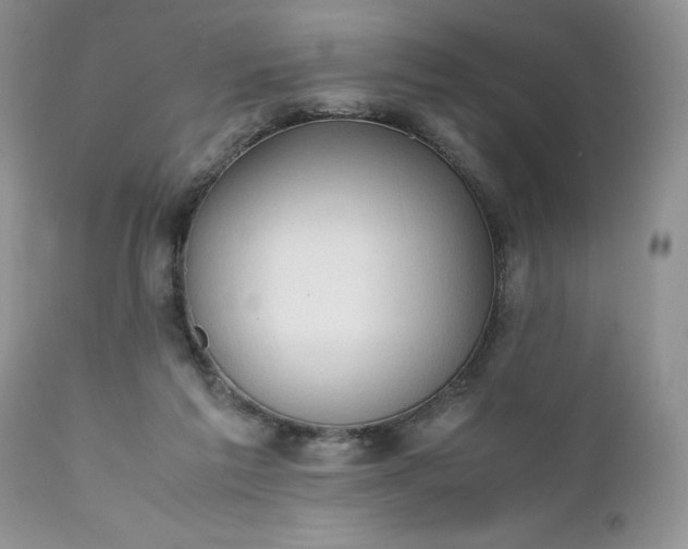 X0000111780213200907301129