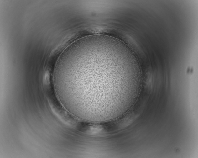 X0000111780214200907301129
