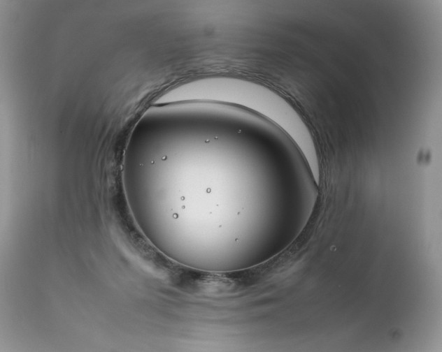 X0000111780215200907301129