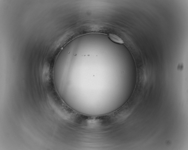 X0000111780216200907301129