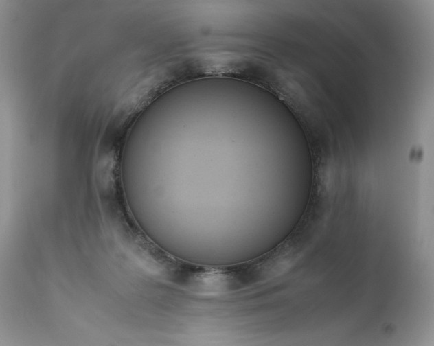 X0000111780219200907301129