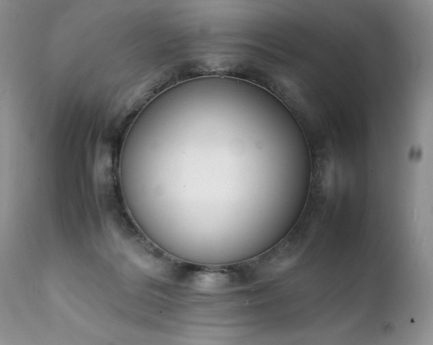 X0000111780220200907301129