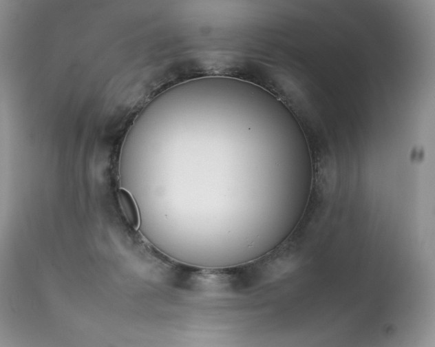 X0000111780221200907301129