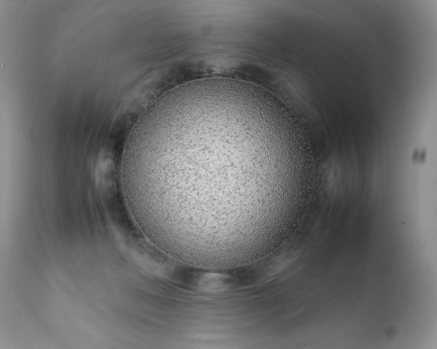 X0000111780222200907301129