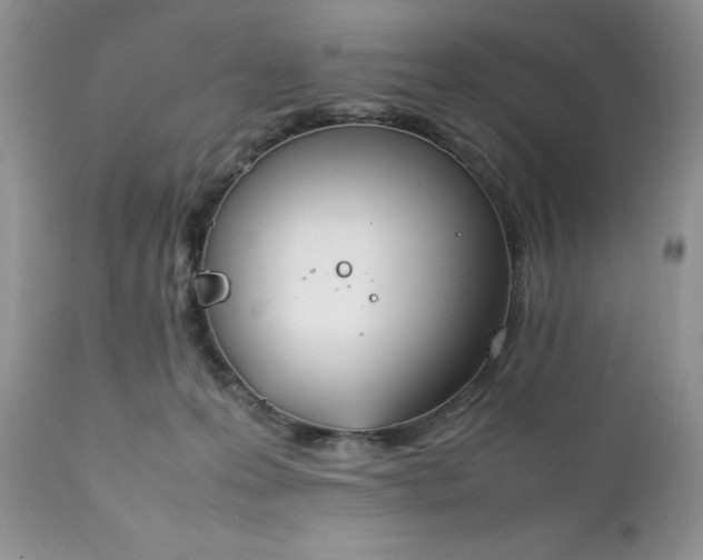 X0000111780223200907301129
