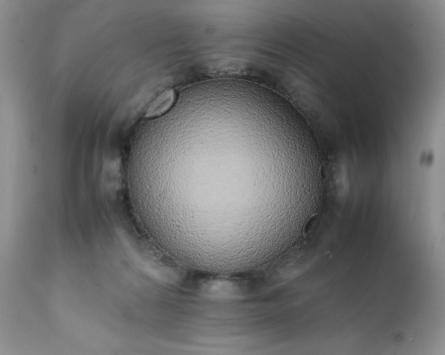 X0000111780224200907301129