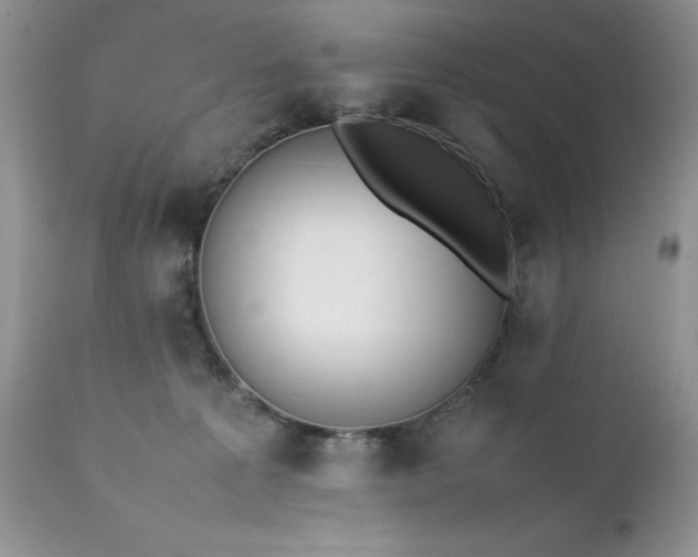 X0000111780225200907301129
