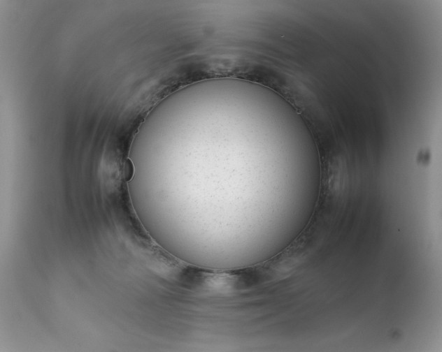 X0000111780226200907301129