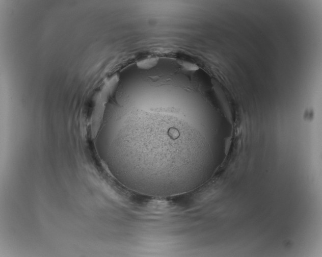 X0000111780227200907301129