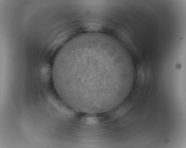 X0000111780228200907301129