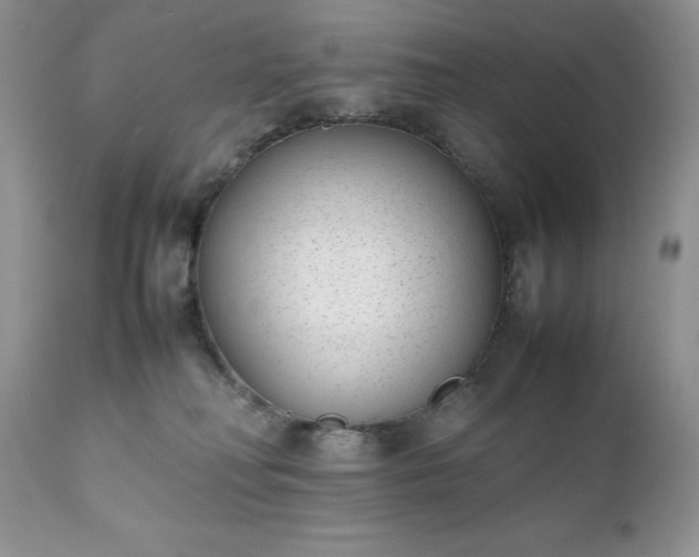 X0000111780230200907301129