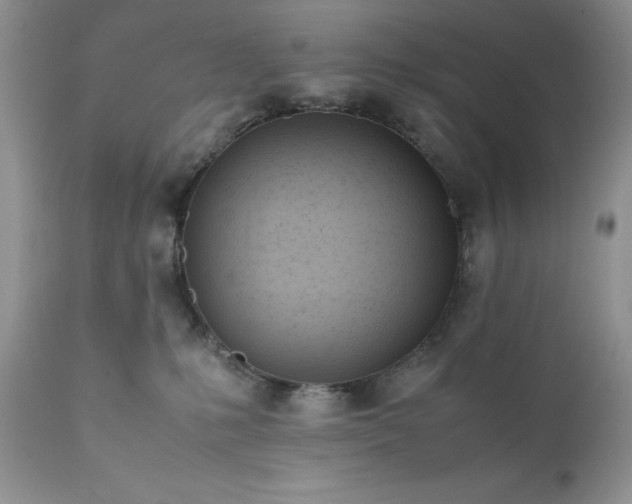 X0000111780231200907301129