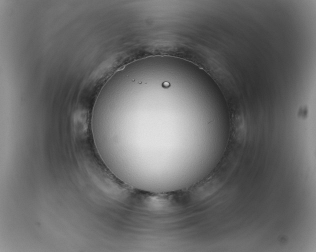 X0000111780232200907301129