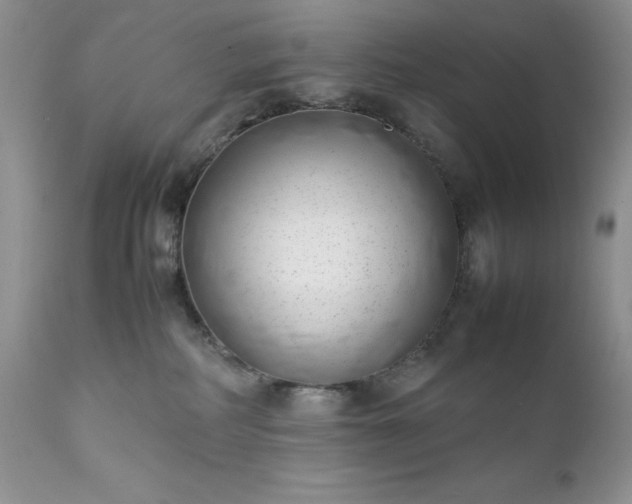 X0000111780234200907301129