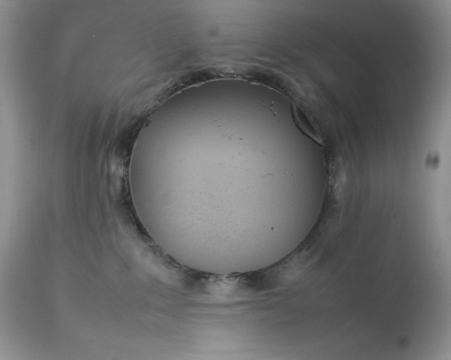 X0000111780235200907301129