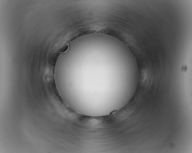 X0000111780236200907301129