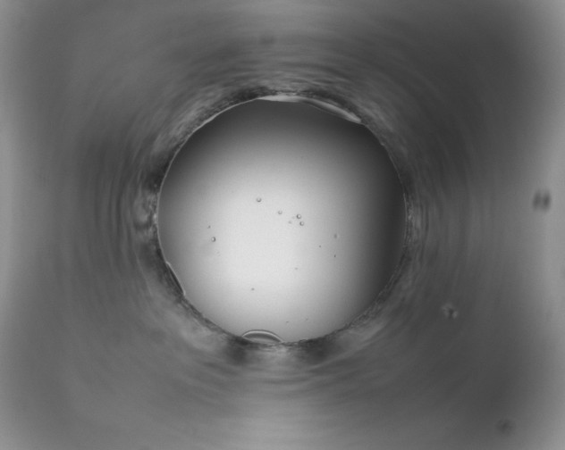 X0000111780237200907301129