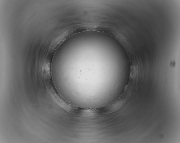 X0000111780238200907301129