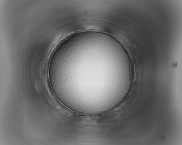 X0000111780241200907301128