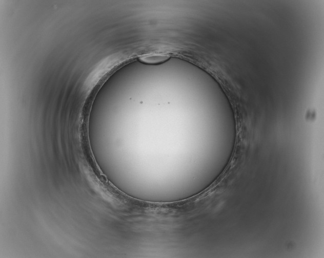 X0000111780242200907301128