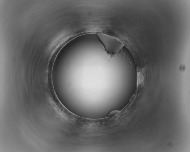 X0000111780243200907301128