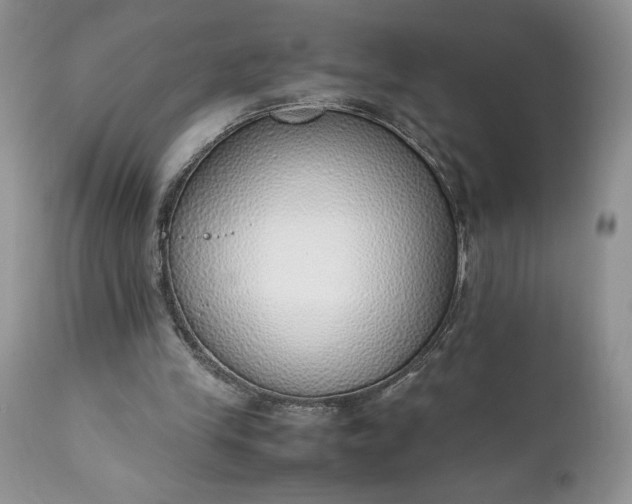 X0000111780245200907301128