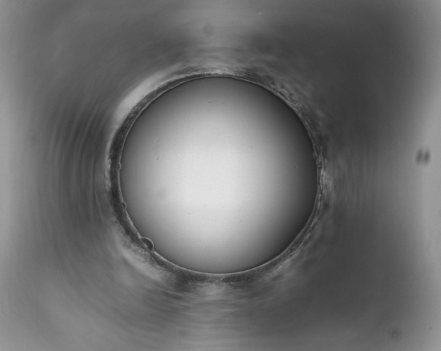 X0000111780246200907301128