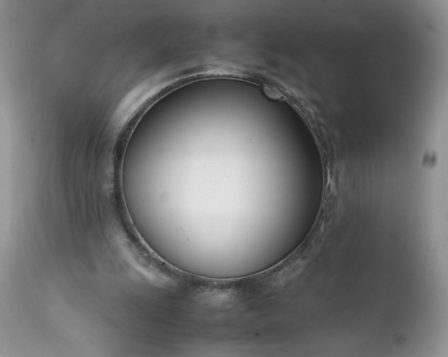 X0000111780247200907301128