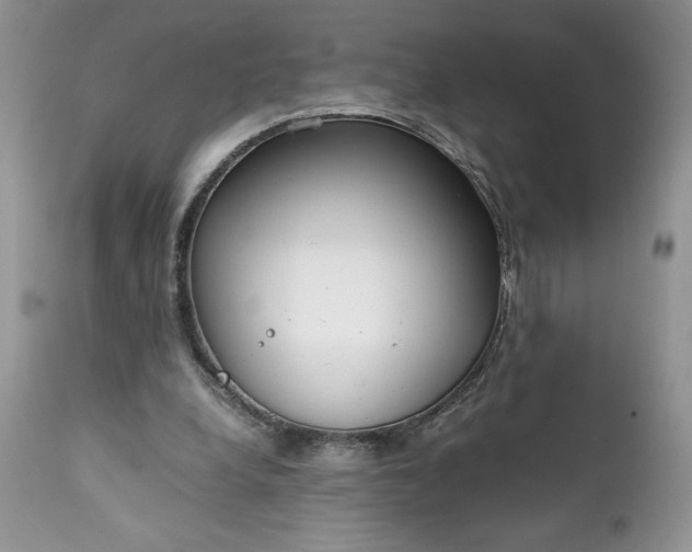 X0000111780248200907301128