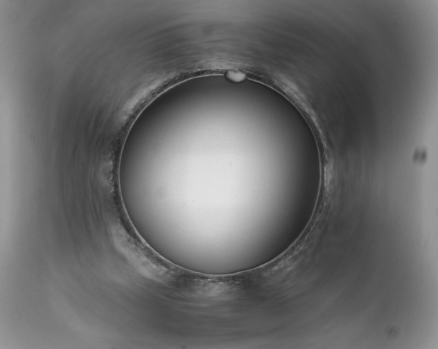 X0000111780249200907301128