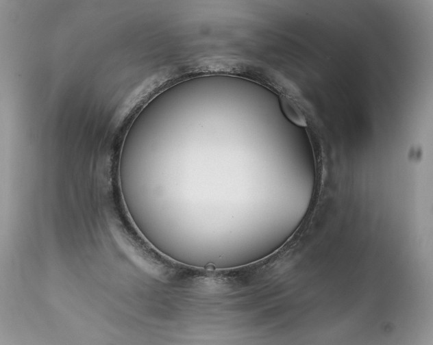 X0000111780250200907301128