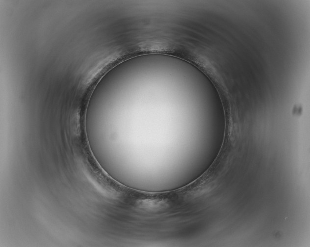 X0000111780251200907301128