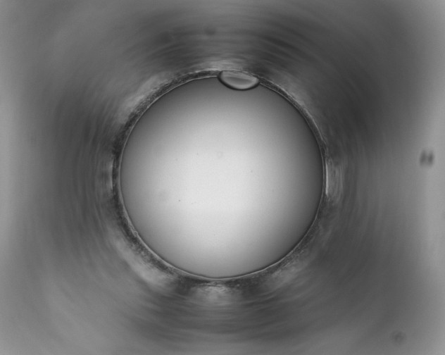 X0000111780253200907301128